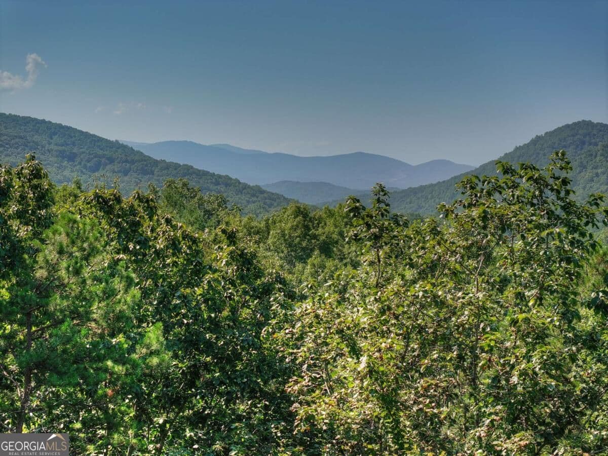 unimproved land for sale at 3.6 AC Prince Mountain Road, Cherry Log, GA 30522 — photo 9