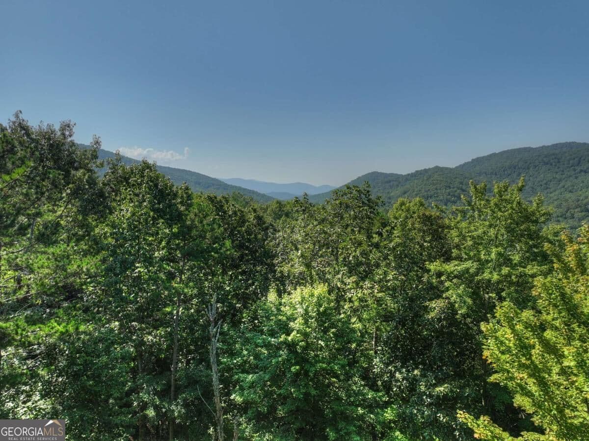 unimproved land for sale at 3.6 AC Prince Mountain Road, Cherry Log, GA 30522 — photo 10
