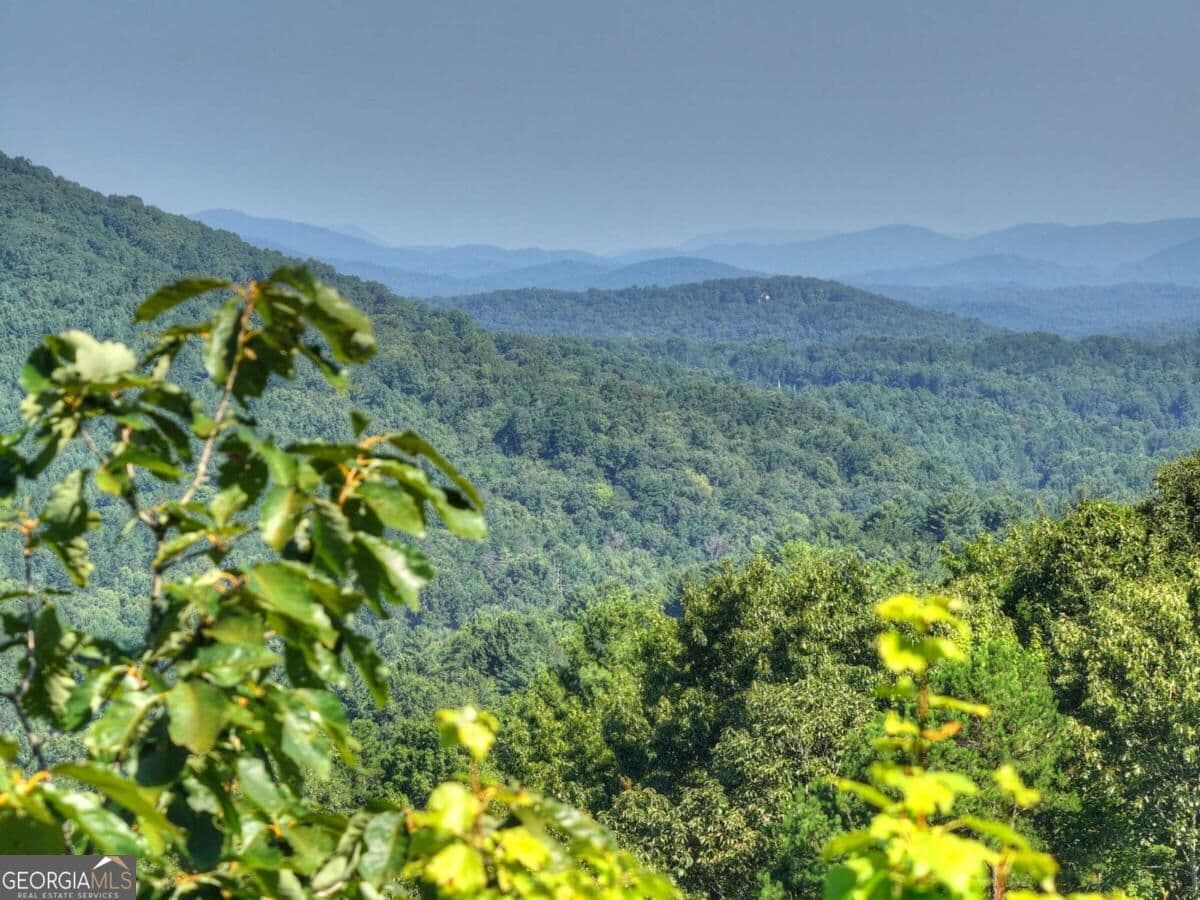 unimproved land for sale at 3.6 AC Prince Mountain Road, Cherry Log, GA 30522 — photo 4