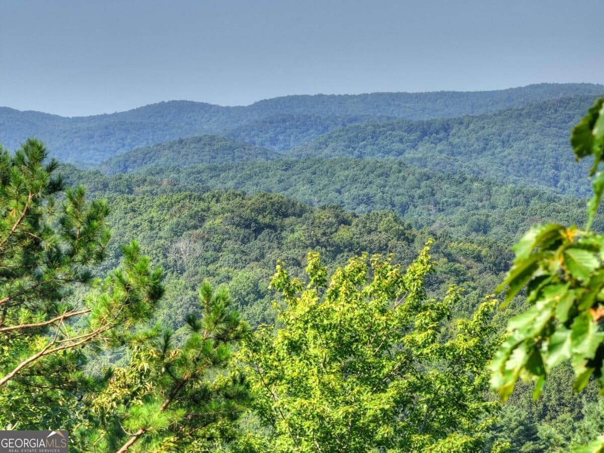 unimproved land for sale at 3.6 AC Prince Mountain Road, Cherry Log, GA 30522 — photo 8