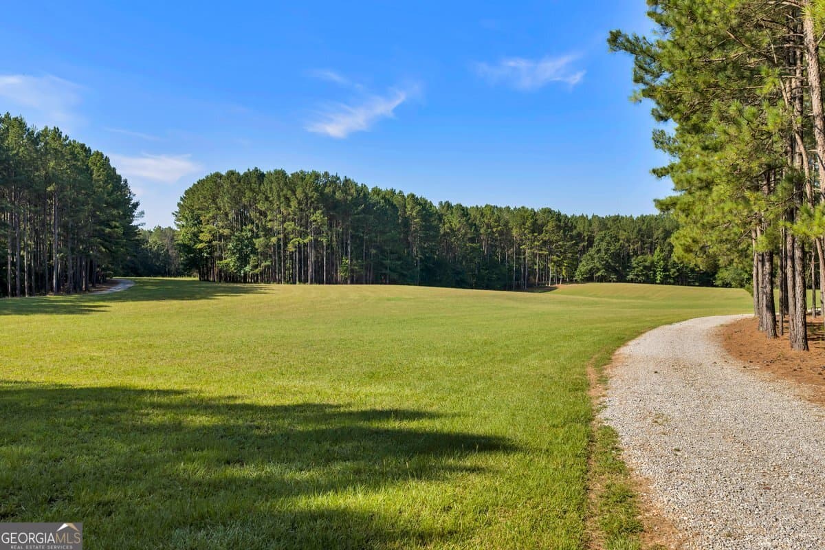 unimproved land for sale at 290 T W Leverette Road, Jackson, GA 30233 — photo 6