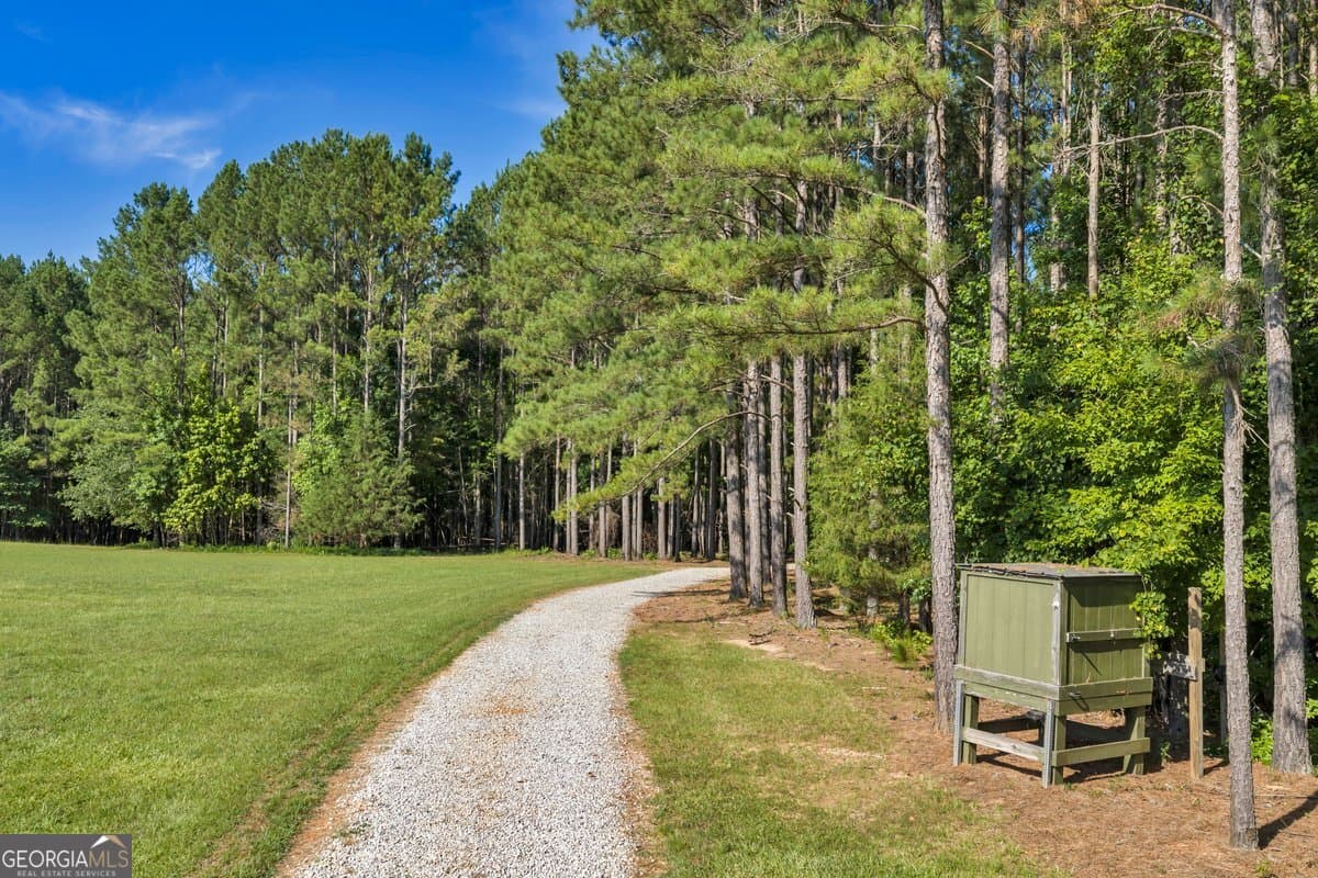 unimproved land for sale at 290 T W Leverette Road, Jackson, GA 30233 — photo 7