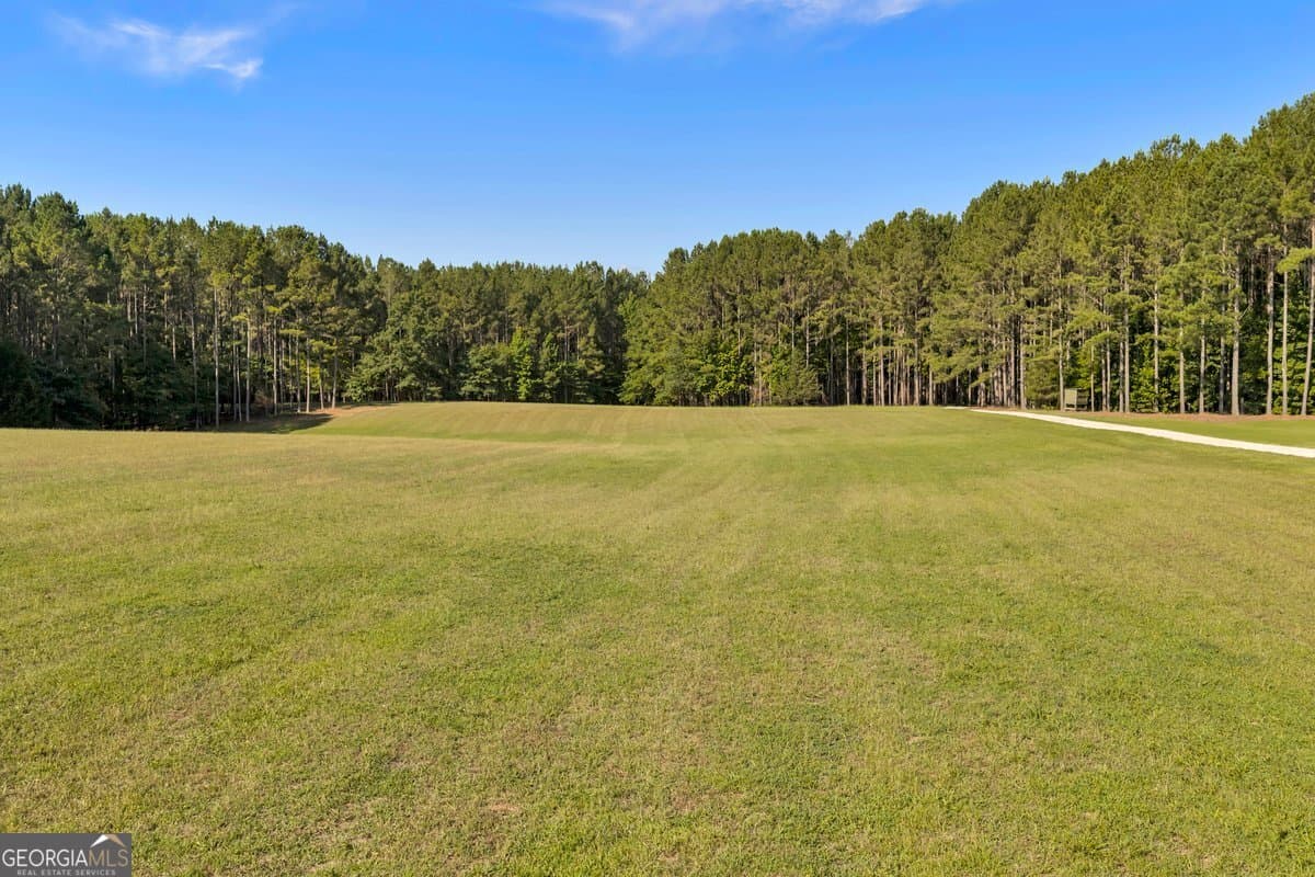 unimproved land for sale at 290 T W Leverette Road, Jackson, GA 30233 — photo 5