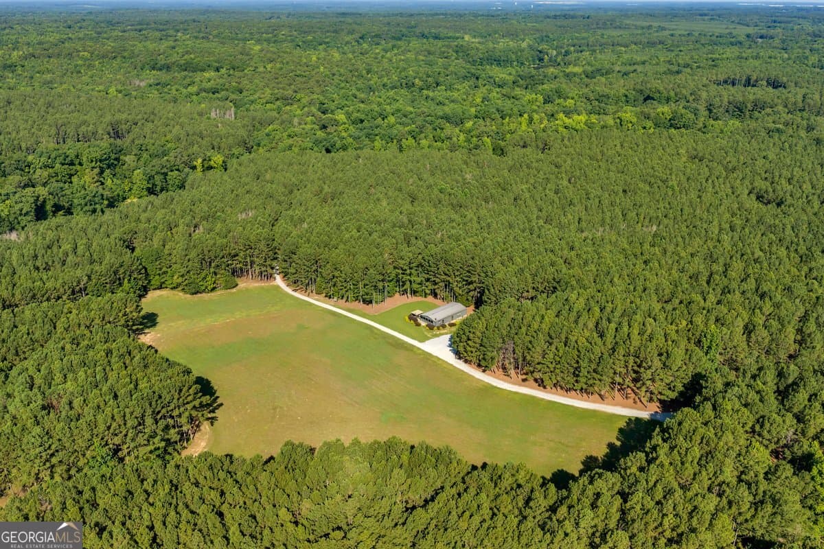 unimproved land for sale at 290 T W Leverette Road, Jackson, GA 30233 — photo 9