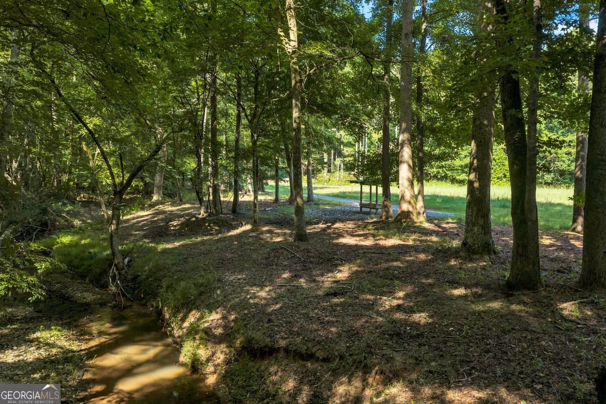 unimproved land for sale at 290 T W Leverette Road, Jackson, GA 30233 — photo 10