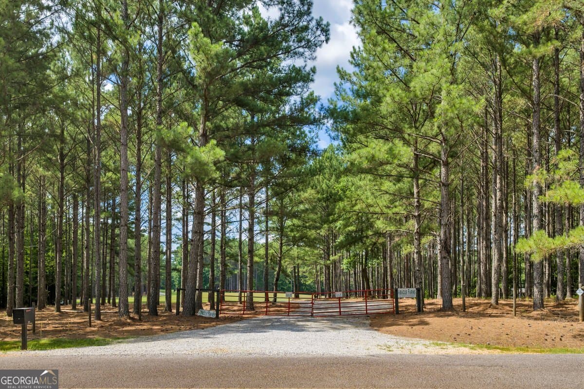 unimproved land for sale at 290 T W Leverette Road, Jackson, GA 30233 — photo 4