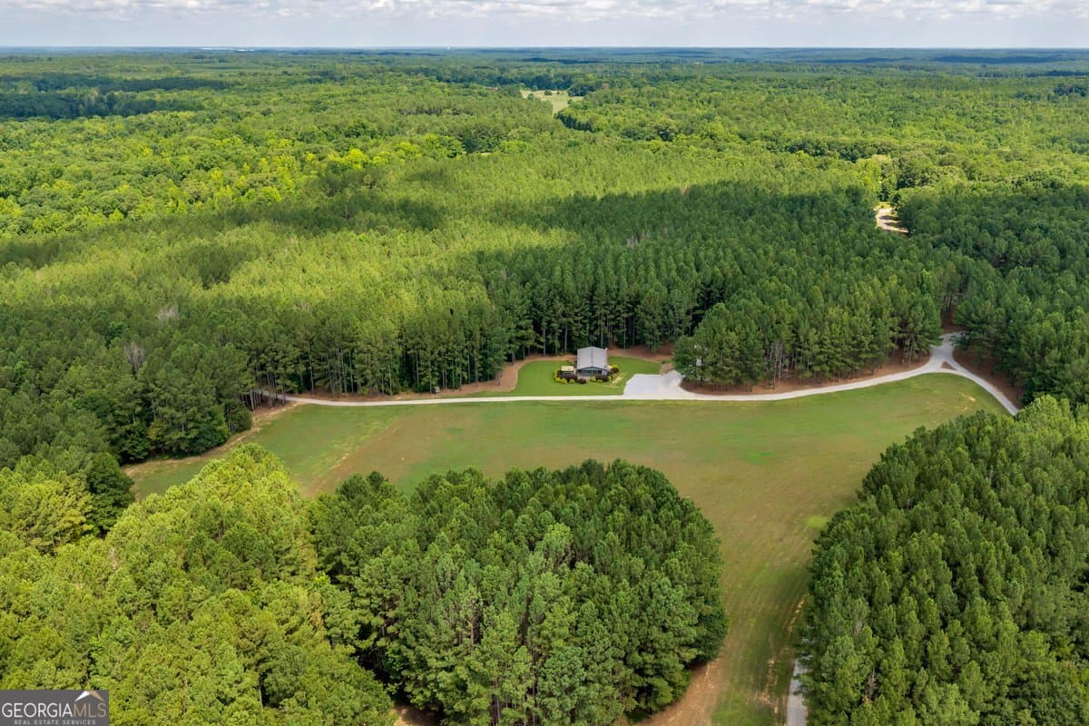unimproved land for sale at 290 T W Leverette Road, Jackson, GA 30233 — photo 8