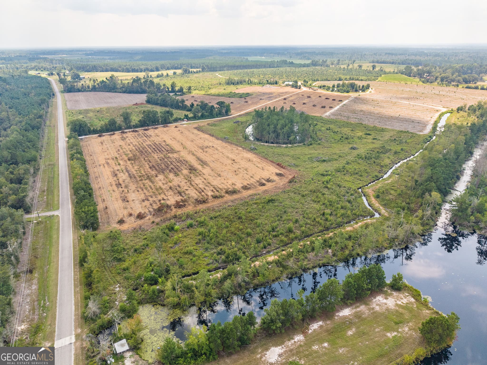 agriculture for sale at 0 Highway 32, Alma, GA 31510 — photo 6