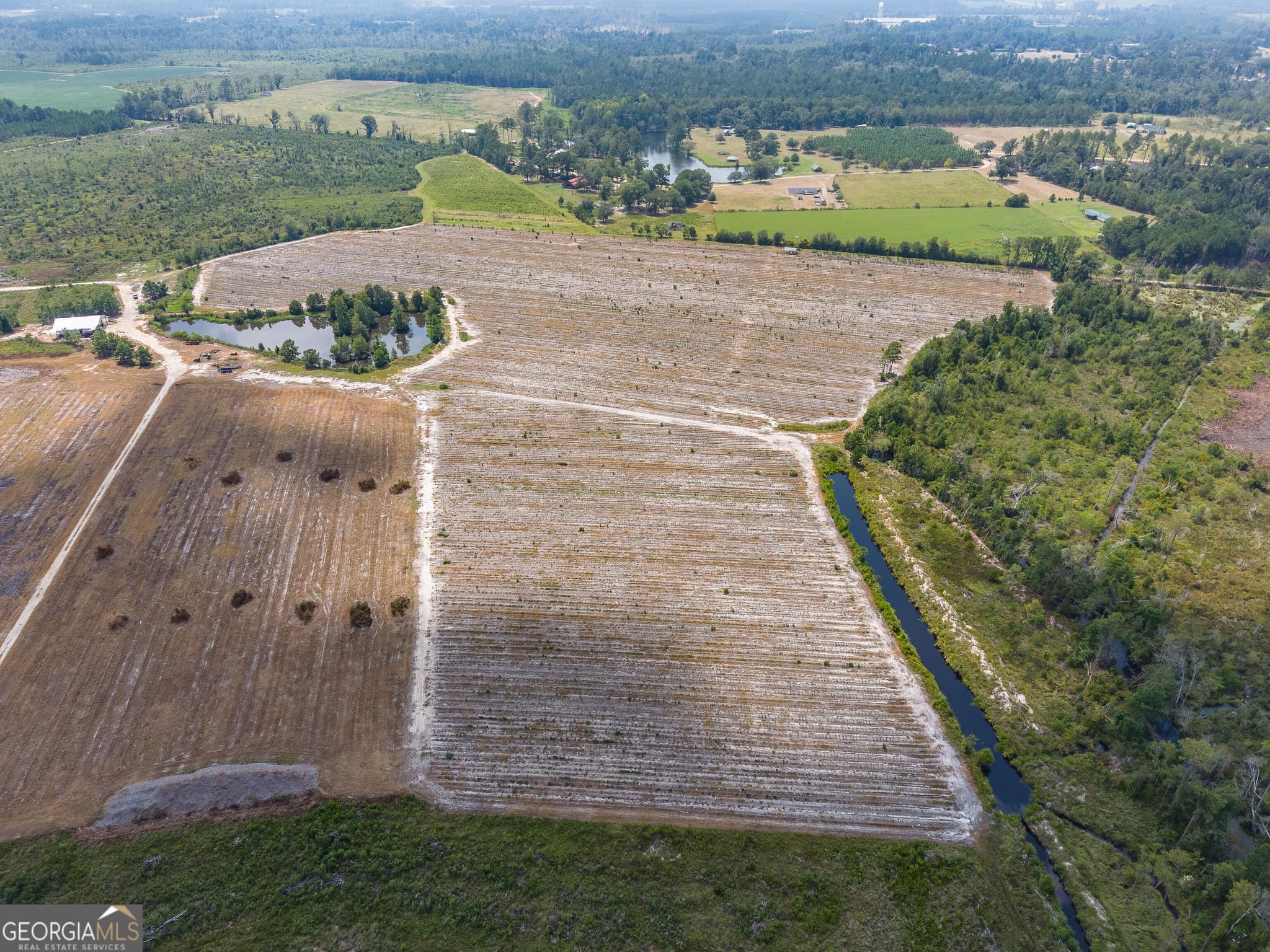agriculture for sale at 0 Highway 32, Alma, GA 31510 — photo 7