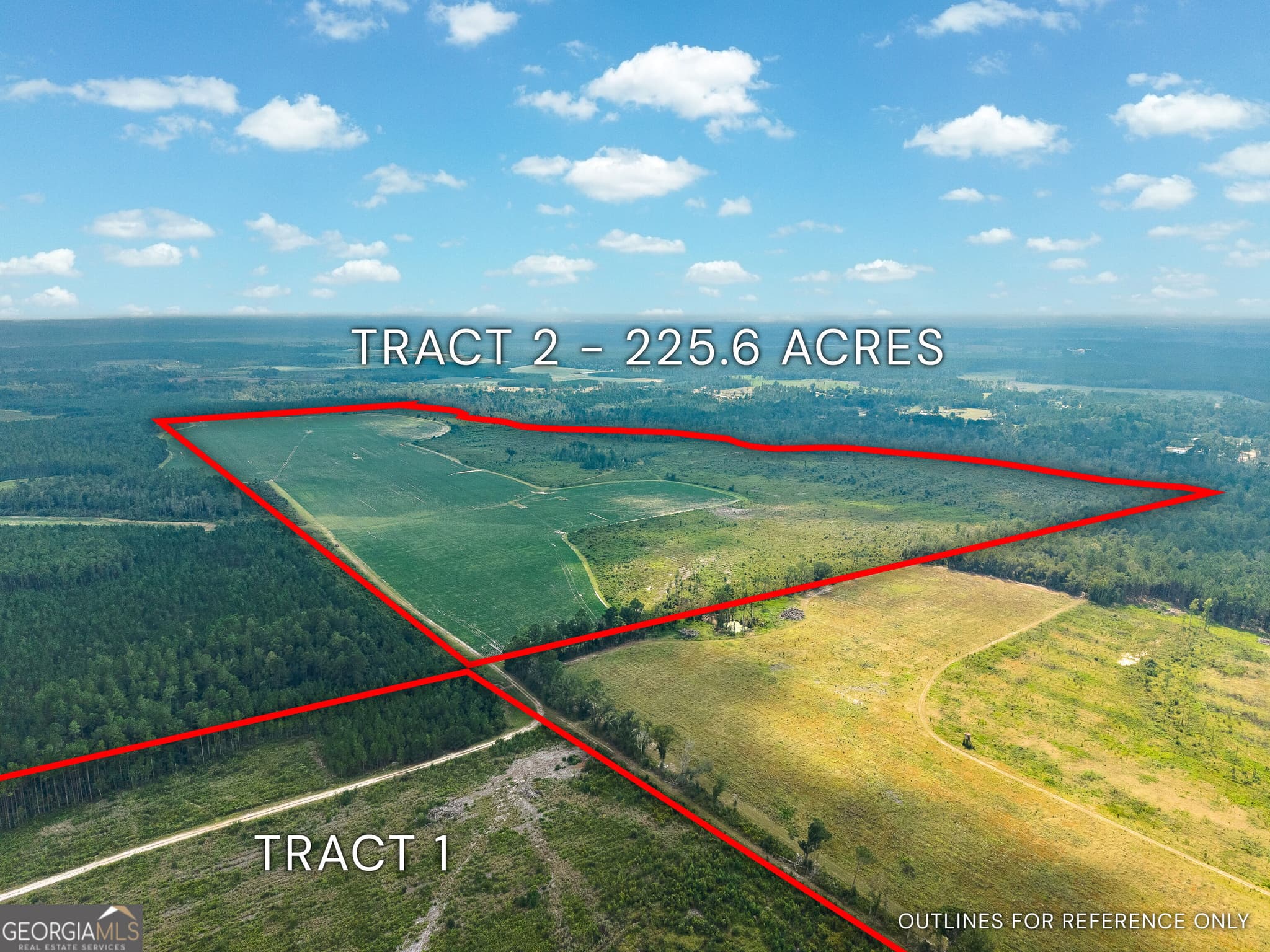 agriculture for sale at 0 Highway 32, Alma, GA 31510 — photo 3