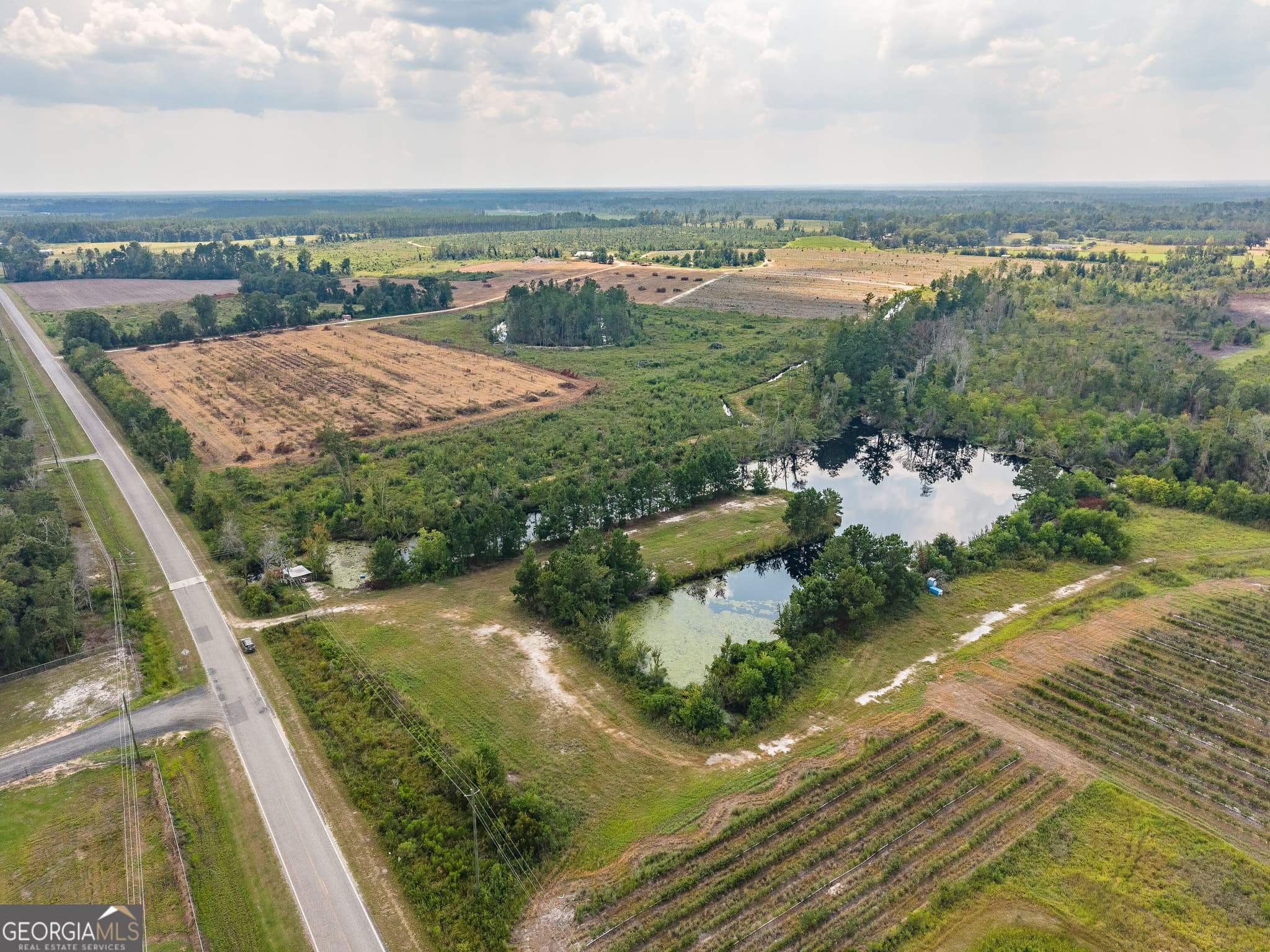 agriculture for sale at 0 Highway 32, Alma, GA 31510 — photo 5