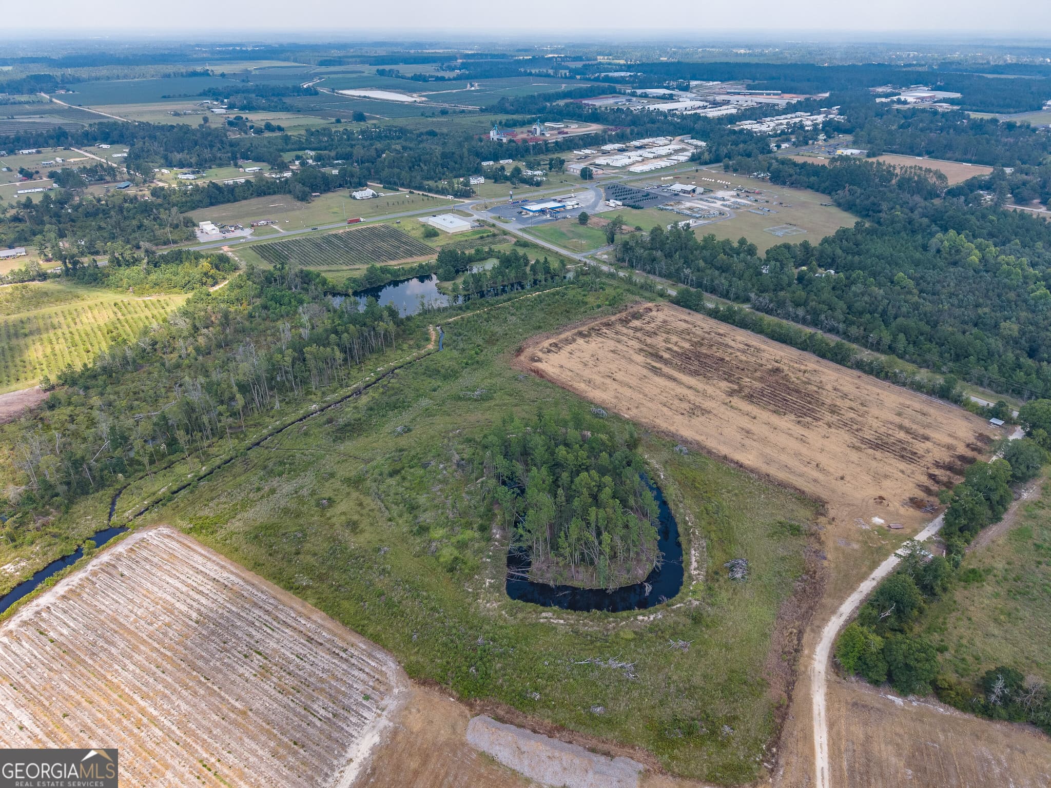 agriculture for sale at 0 Highway 32, Alma, GA 31510 — photo 10