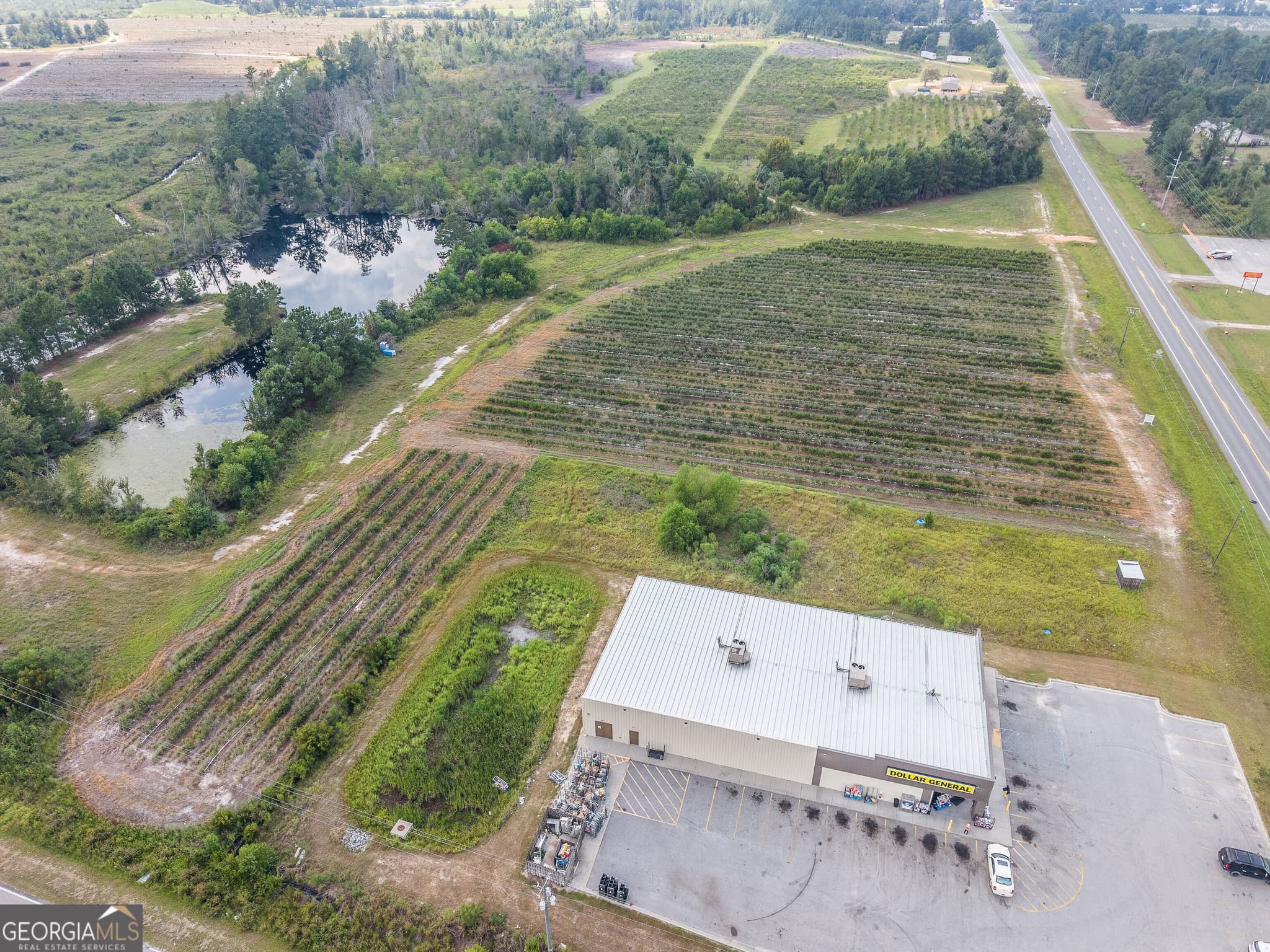 agriculture for sale at 0 Highway 32, Alma, GA 31510 — photo 4