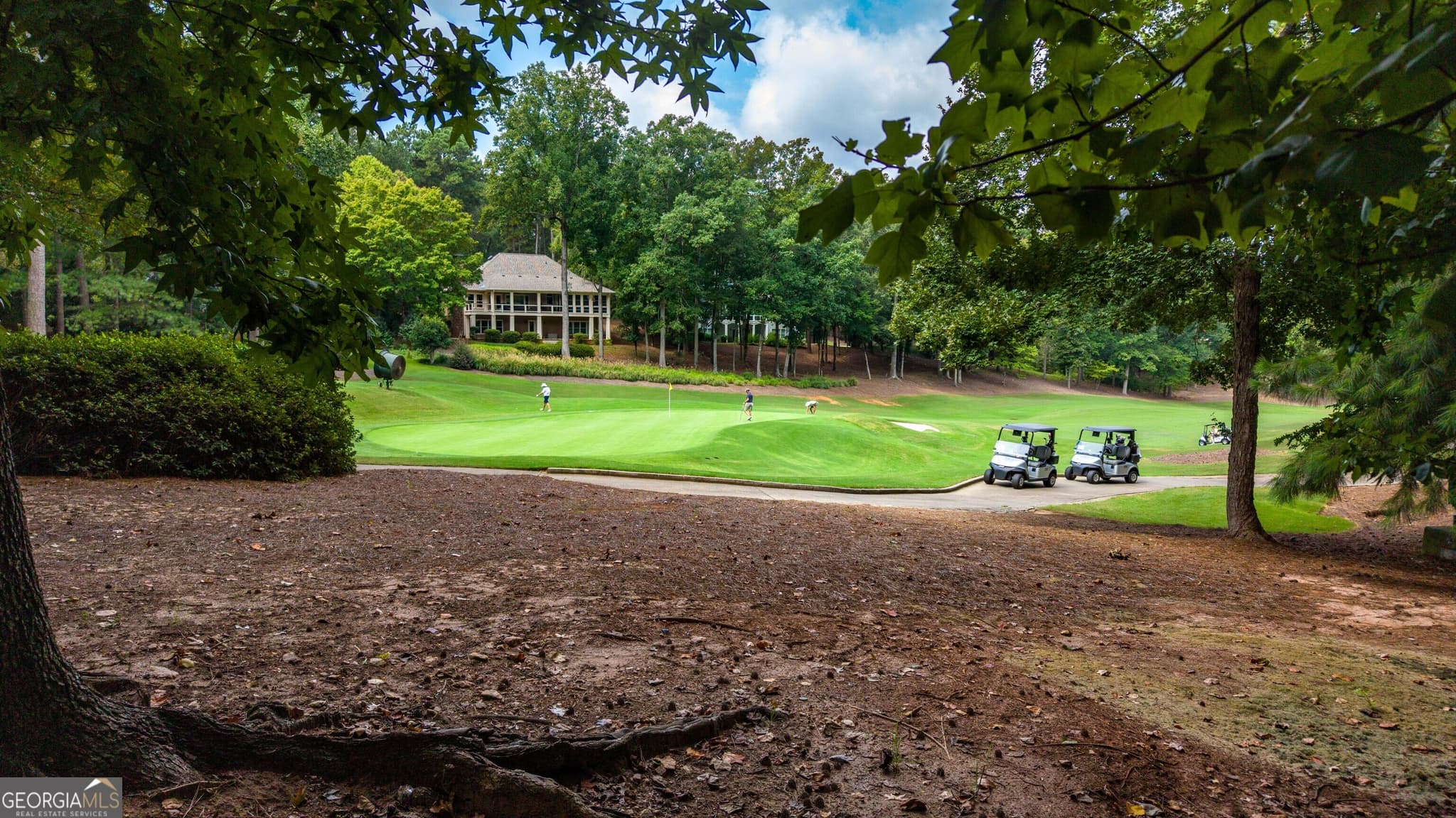 residential lot for sale at 1151 Scull Shoals Drive, Greensboro, GA 30642 — photo 9