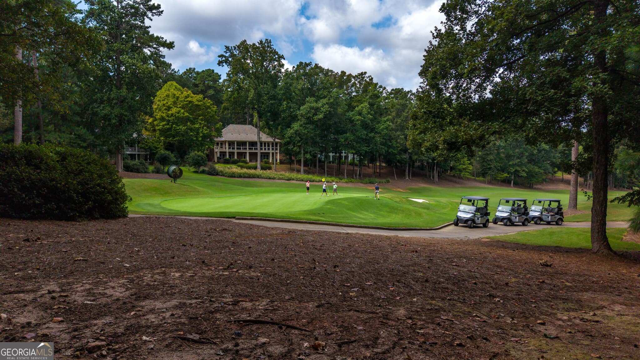 residential lot for sale at 1151 Scull Shoals Drive, Greensboro, GA 30642 — photo 10