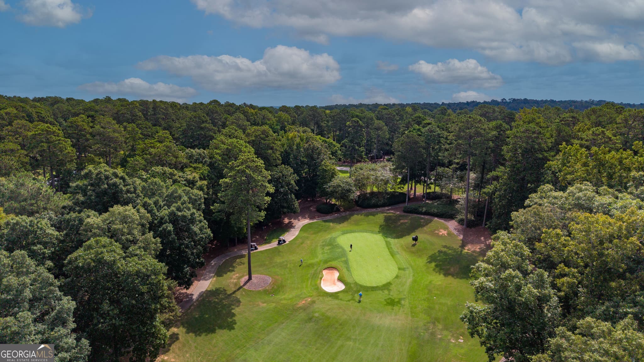 residential lot for sale at 1151 Scull Shoals Drive, Greensboro, GA 30642 — photo 8