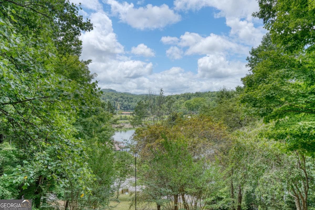 3 bedroom, 3 bathroom, 2,384 sq ft cabin,single family residence for sale at 61 Deerwood Trail 1, Blairsville, GA 30512 — photo 2