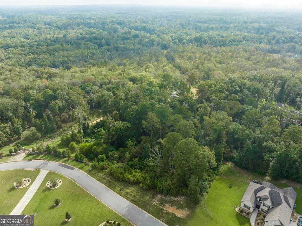 residential lot for sale at 1063 Chattahoochee Drive, Bonaire, GA 31005 — photo 3