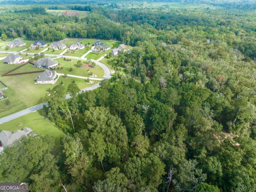 residential lot for sale at 1063 Chattahoochee Drive, Bonaire, GA 31005 — photo 4