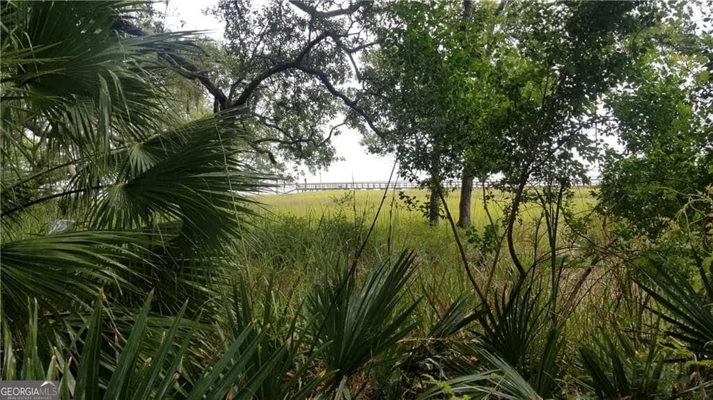residential lot for sale at LOT 1 Belvedere Drive, Townsend, GA 31331 — photo 3