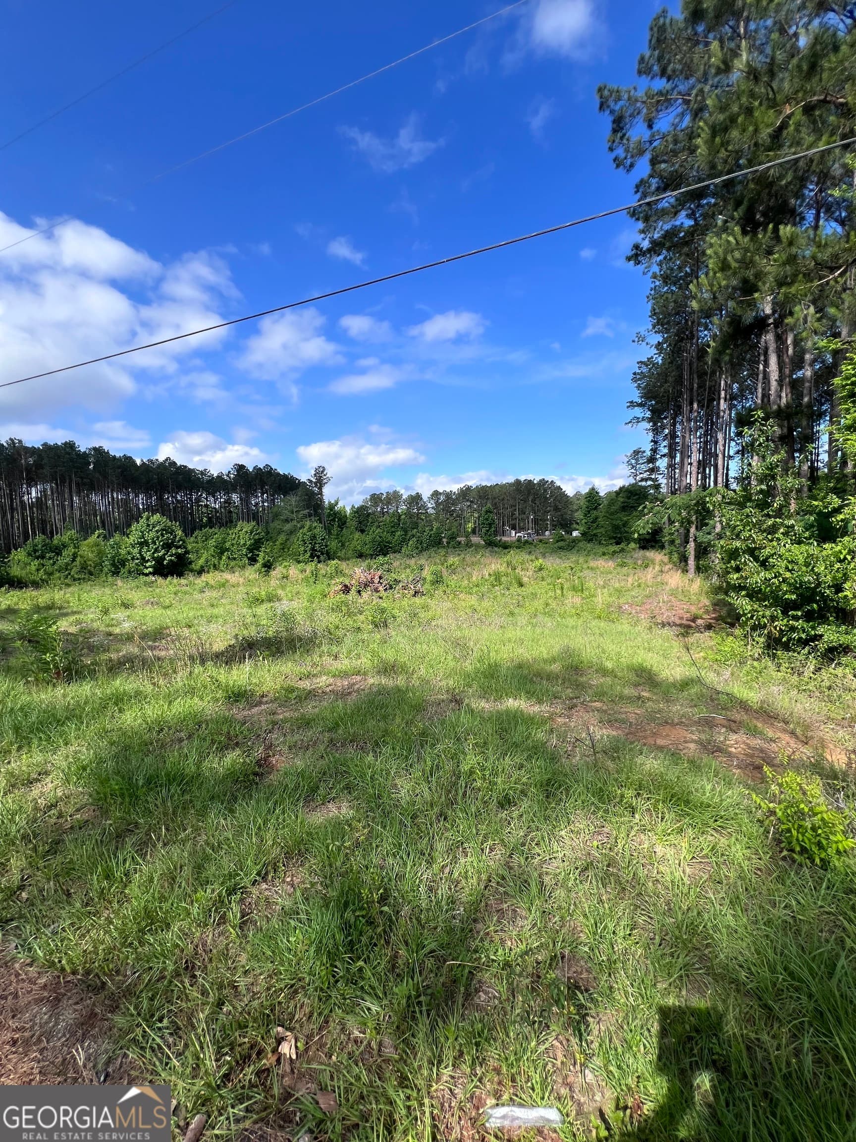 unimproved land for sale at 0 Hunters Run, Dublin, GA 31021 — photo 2