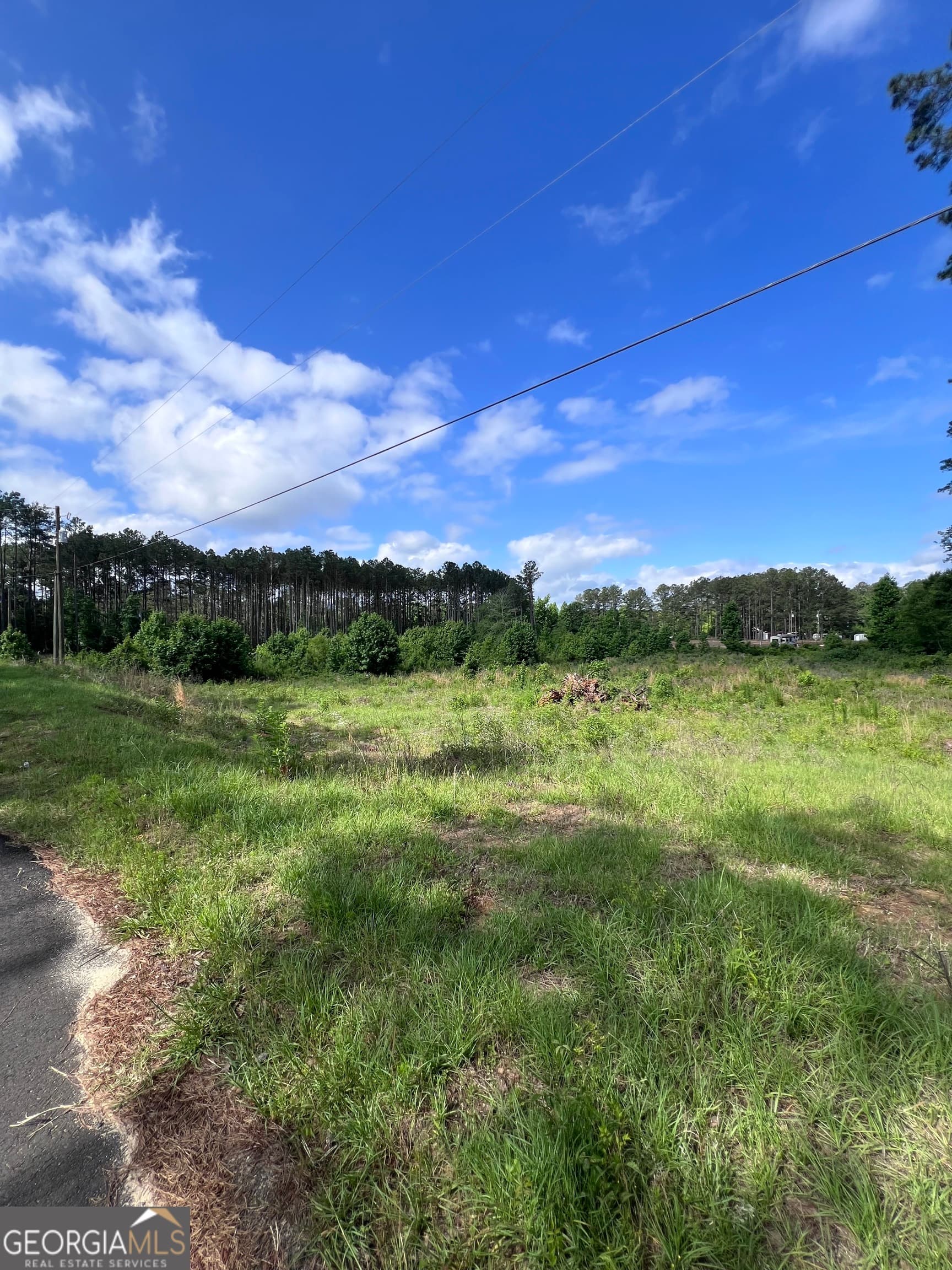 unimproved land for sale at 0 Hunters Run, Dublin, GA 31021 — photo 3