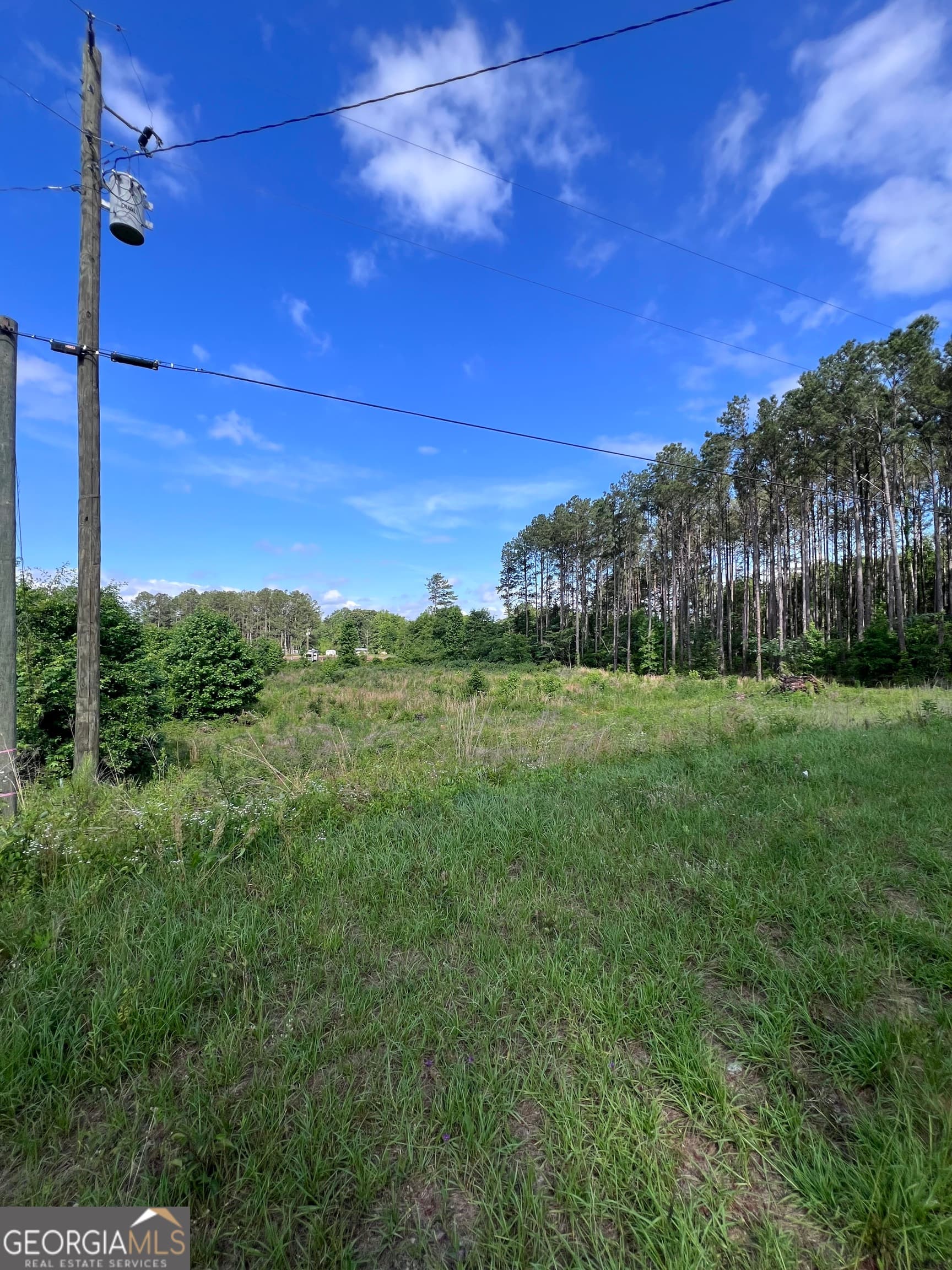 unimproved land for sale at 0 Hunters Run, Dublin, GA 31021 — photo 1 of 7