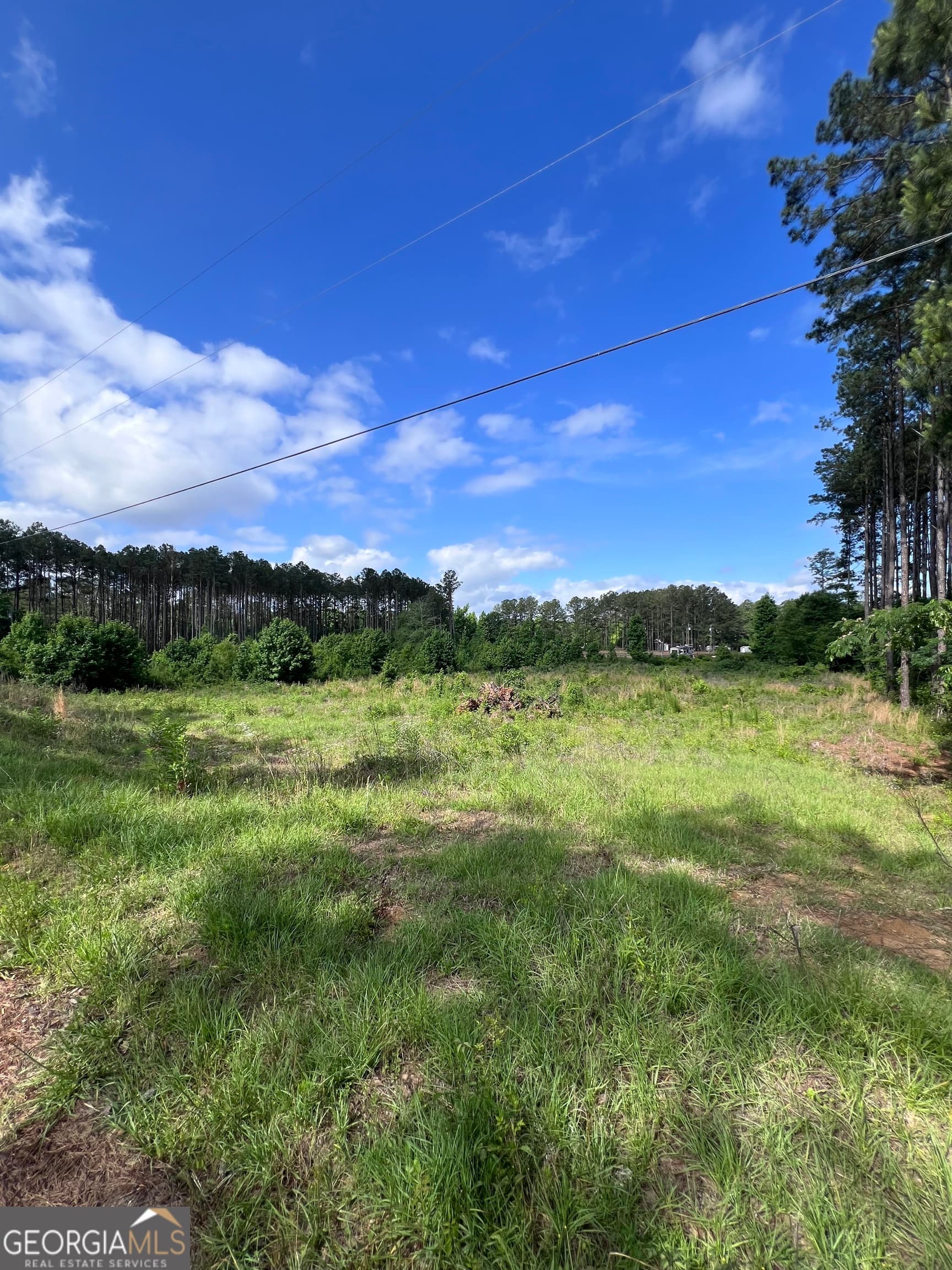 unimproved land for sale at 0 Hunters Run, Dublin, GA 31021 — photo 5