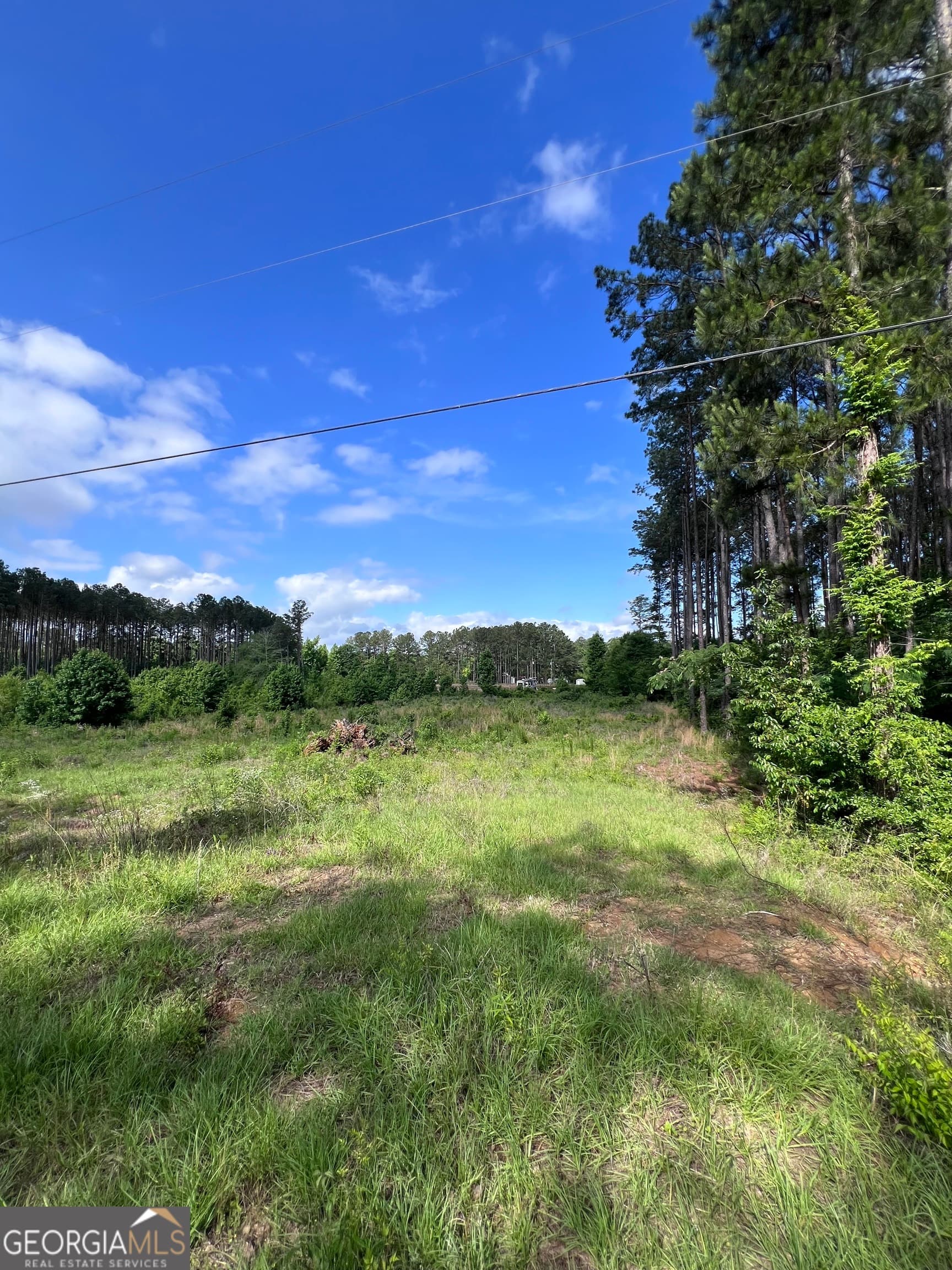 unimproved land for sale at 0 Hunters Run, Dublin, GA 31021 — photo 4
