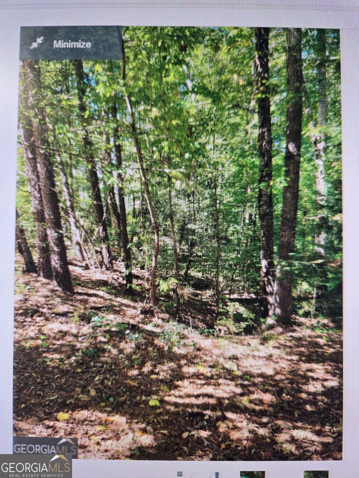 residential lot for sale at 1480 Pine Lark Drive LOT 22, Canton, GA 30114 — photo 4