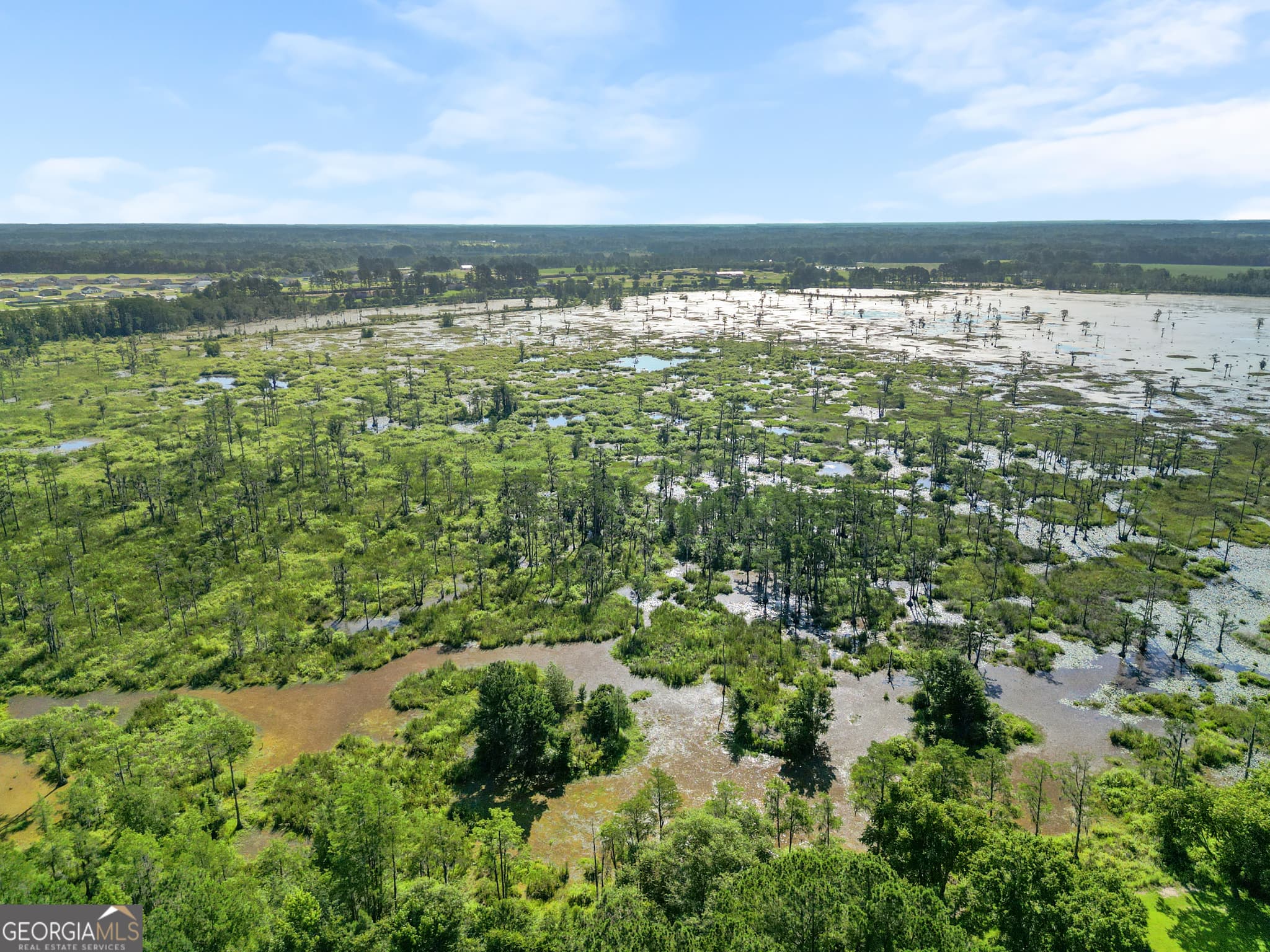 residential lot for sale at LOT 1 Kennedy Pond Road, Statesboro, GA 30458 — photo 10