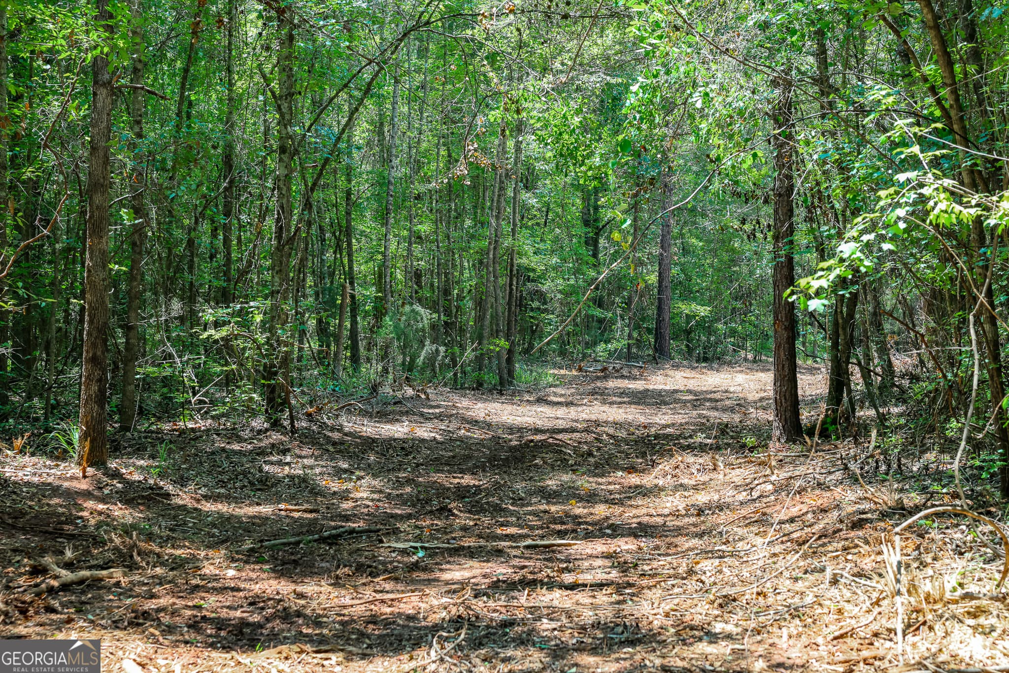 agriculture under contract at 1 Fern Street, Edison, GA 39846 — photo 6