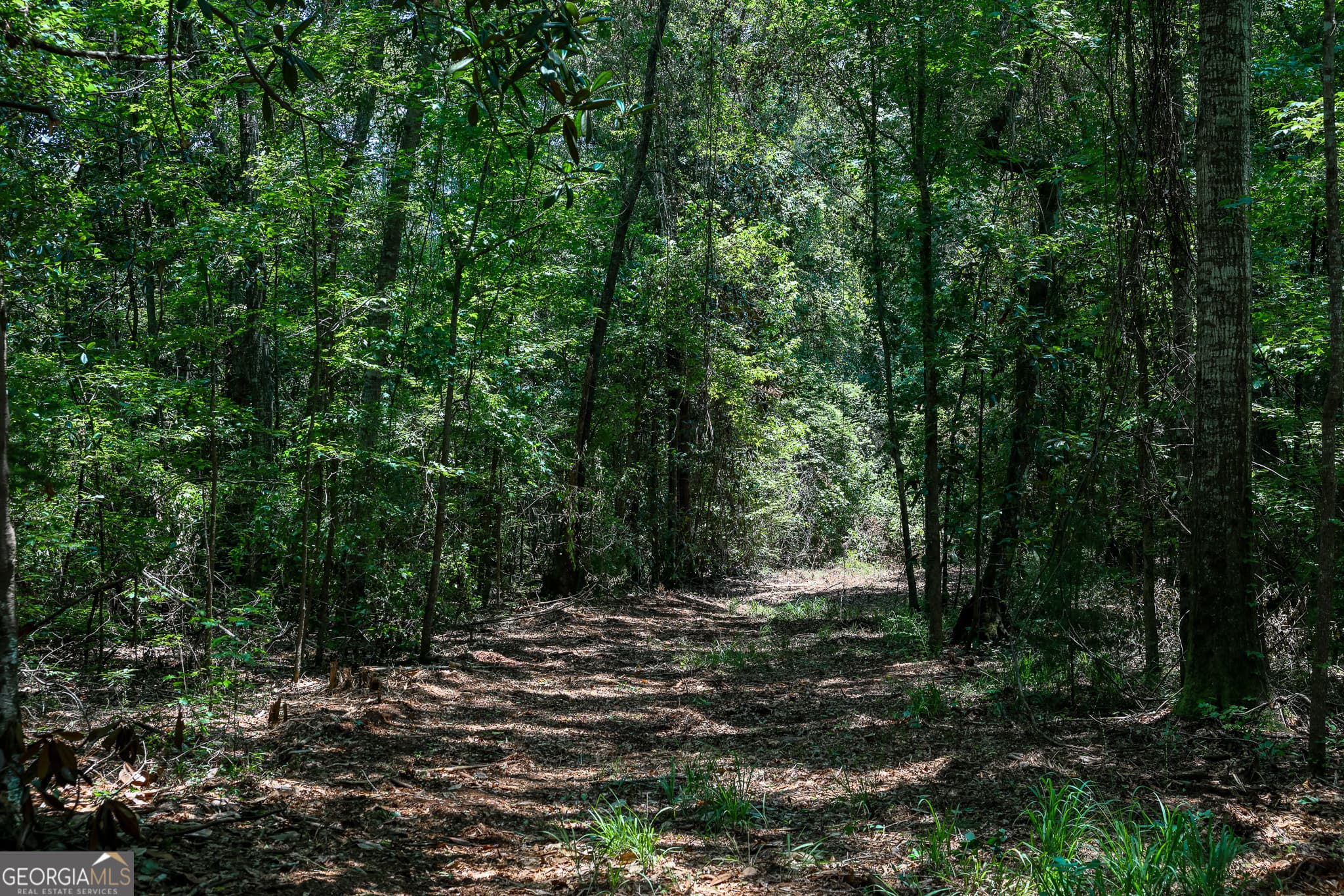 agriculture under contract at 1 Fern Street, Edison, GA 39846 — photo 7