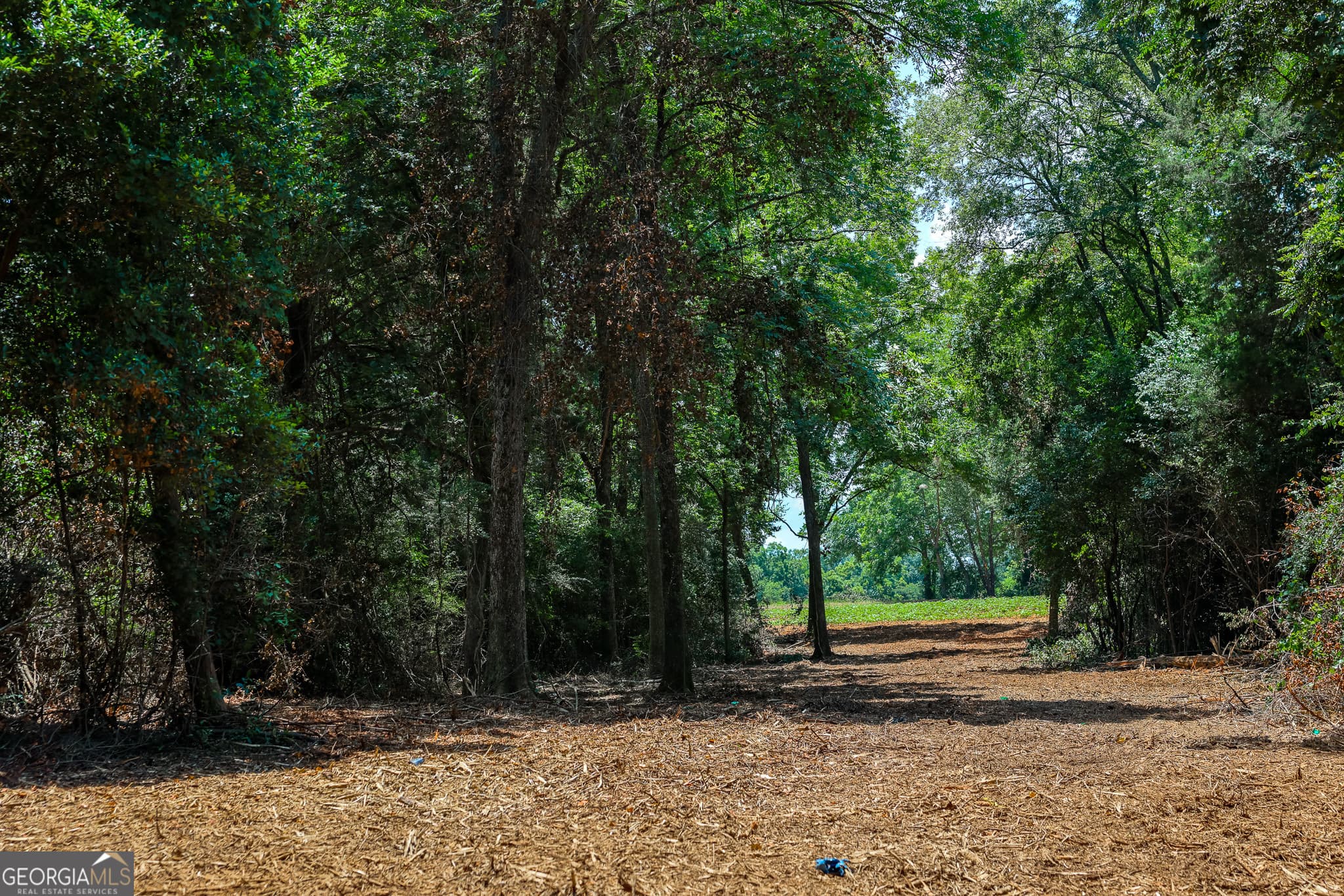 agriculture under contract at 1 Fern Street, Edison, GA 39846 — photo 10