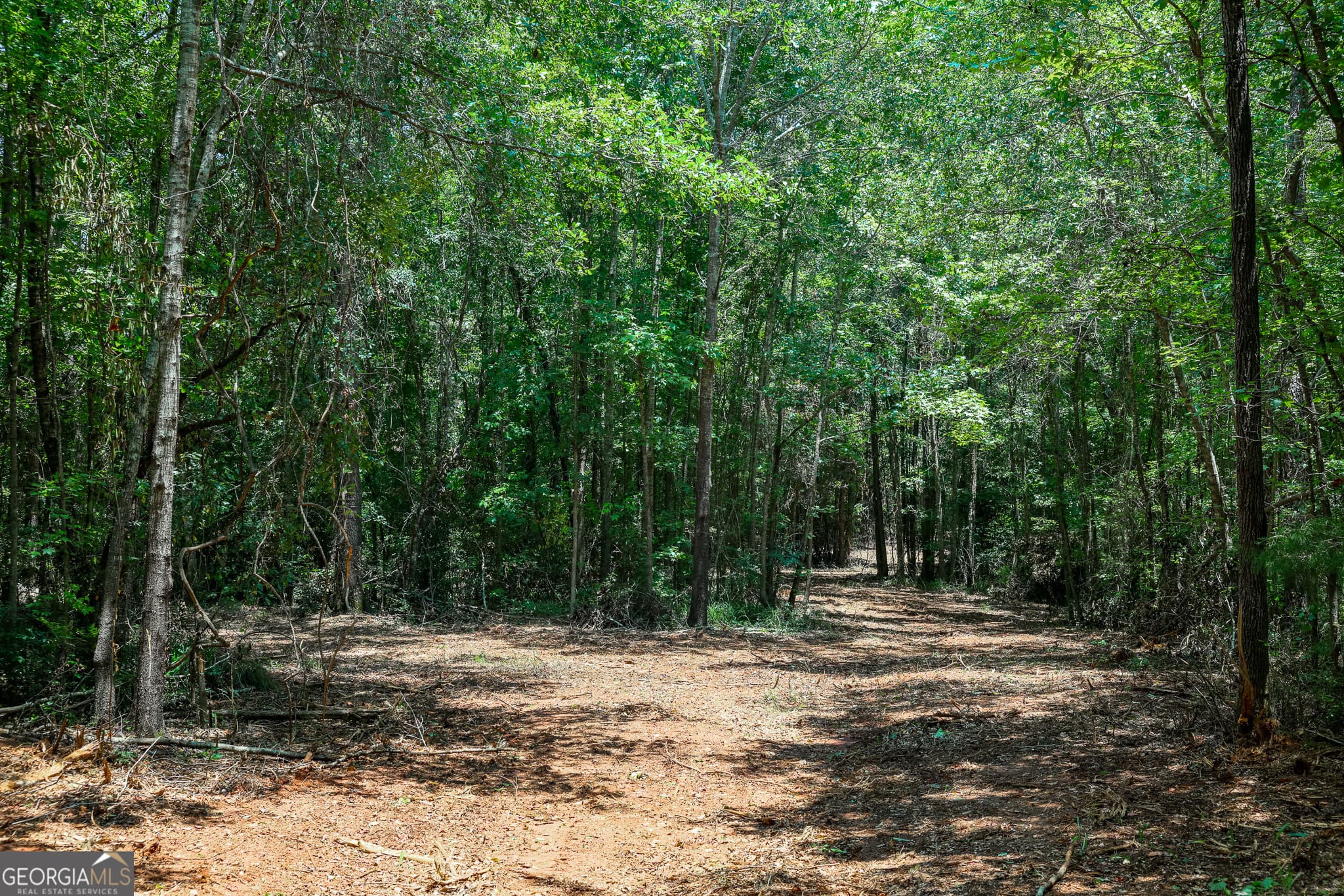 agriculture under contract at 1 Fern Street, Edison, GA 39846 — photo 4