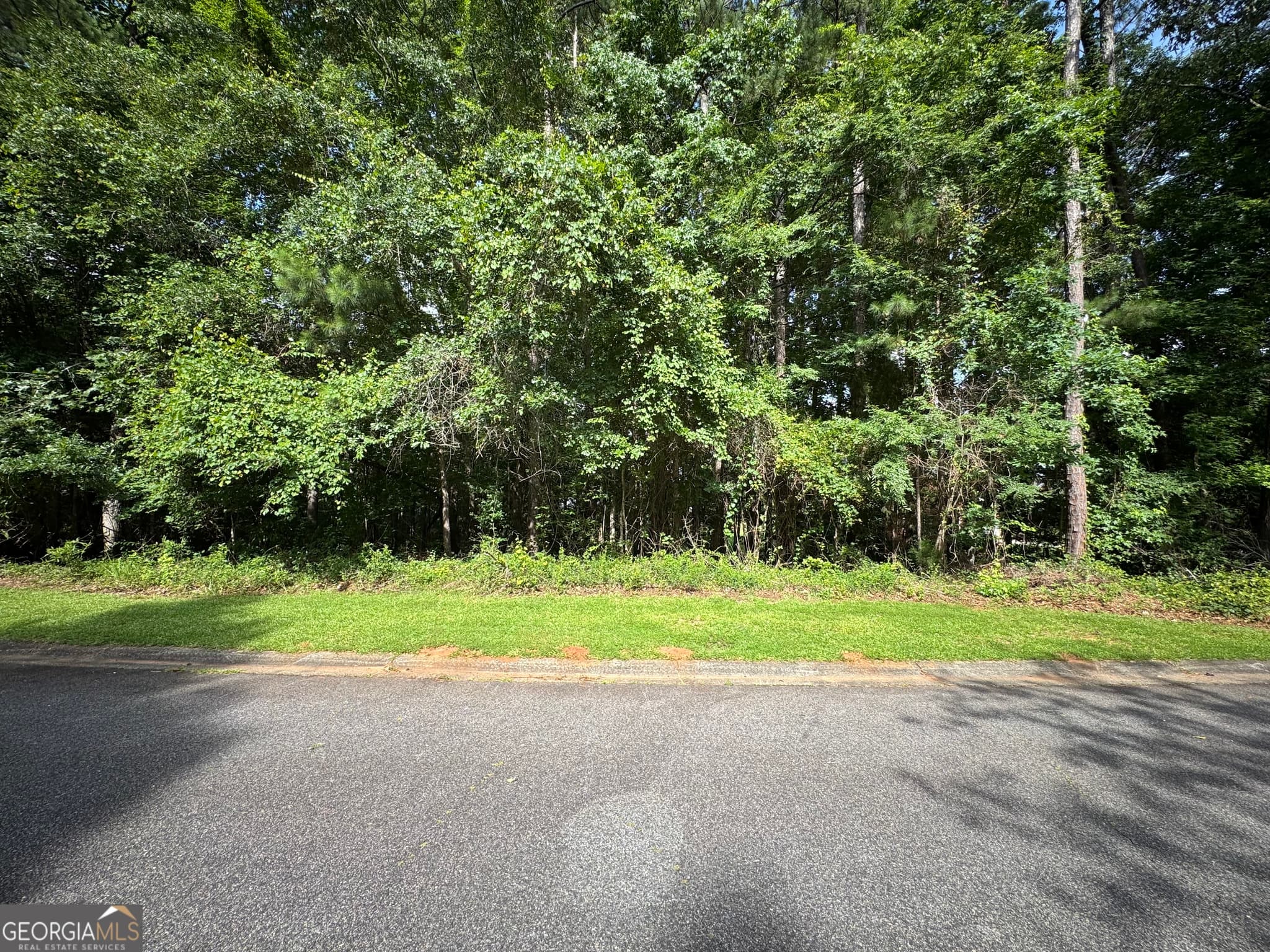 residential lot for sale at 409 Cambridge Court, Macon, GA 31220 — photo 4