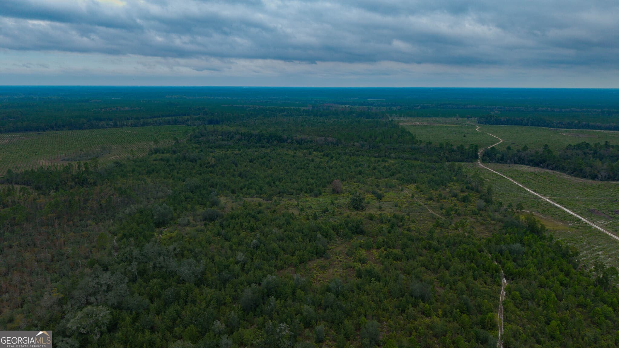 unimproved land for sale at 0 Bennett Road, Screven, GA 31560 — photo 6
