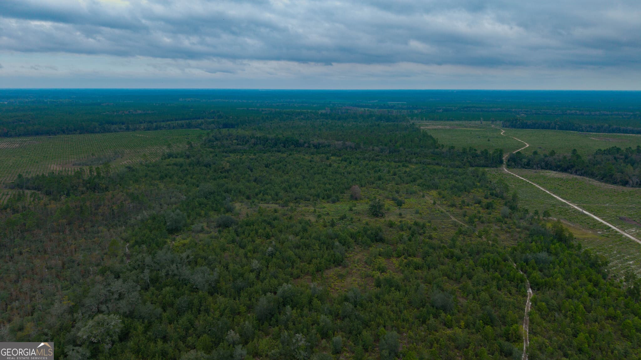 unimproved land for sale at 0 Bennett Road, Screven, GA 31560 — photo 7