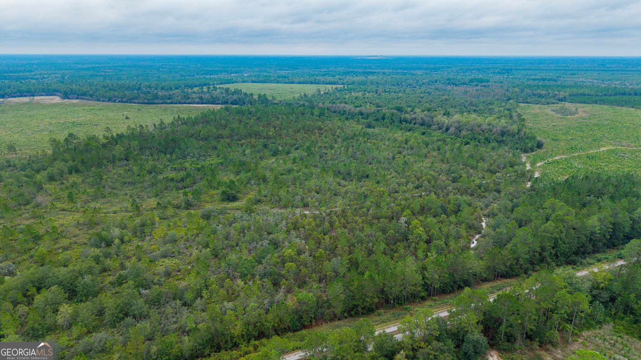 unimproved land for sale at 0 Bennett Road, Screven, GA 31560 — photo 5