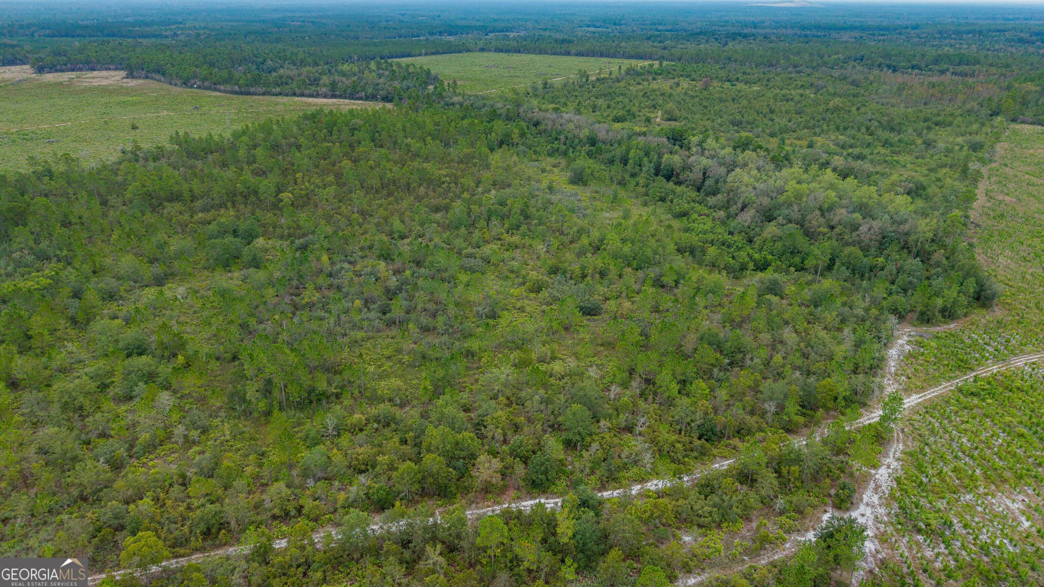 unimproved land for sale at 0 Bennett Road, Screven, GA 31560 — photo 9