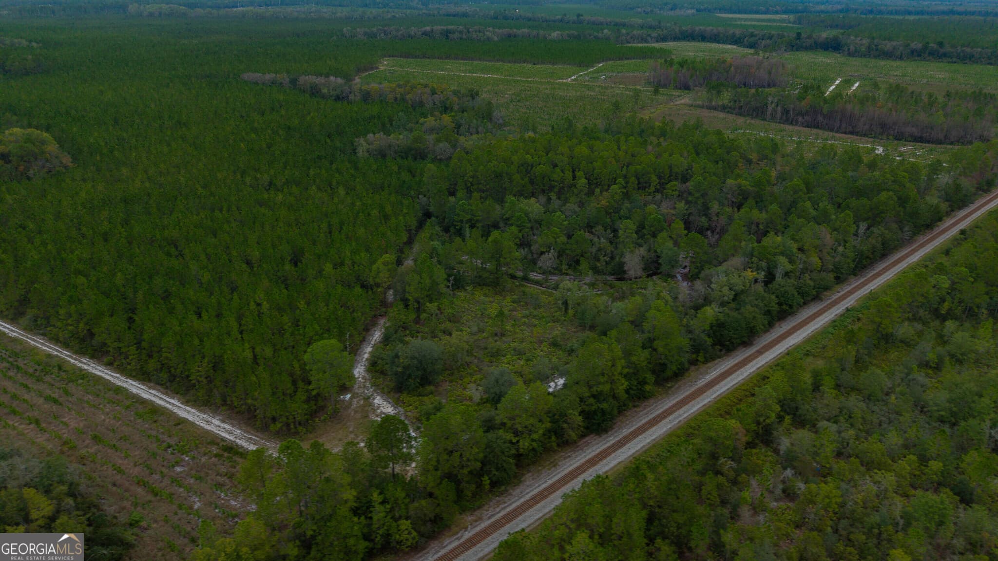 unimproved land for sale at 0 Bennett Road, Screven, GA 31560 — photo 10