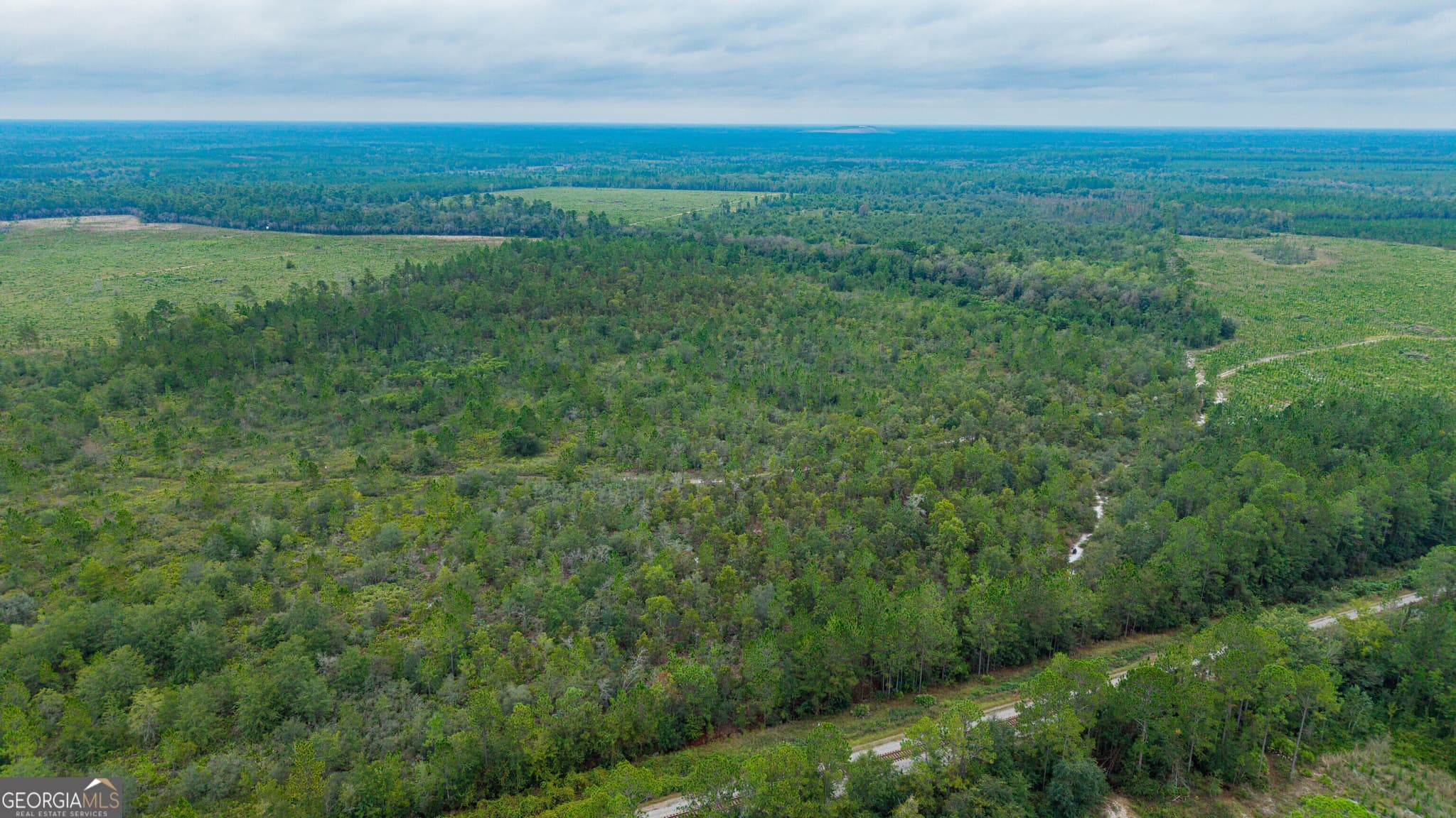 unimproved land for sale at 0 Bennett Road, Screven, GA 31560 — photo 4