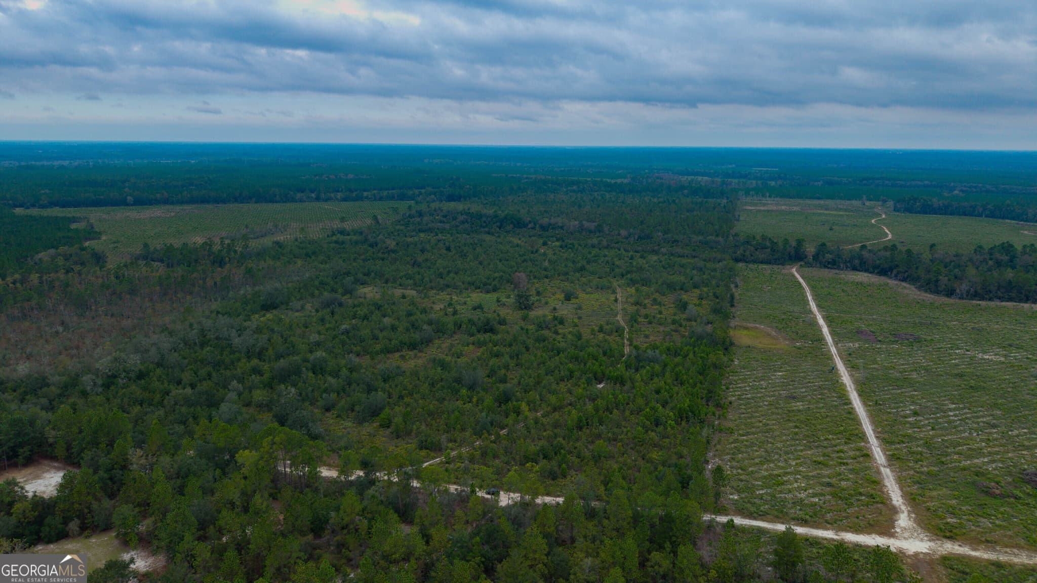 unimproved land for sale at 0 Bennett Road, Screven, GA 31560 — photo 8