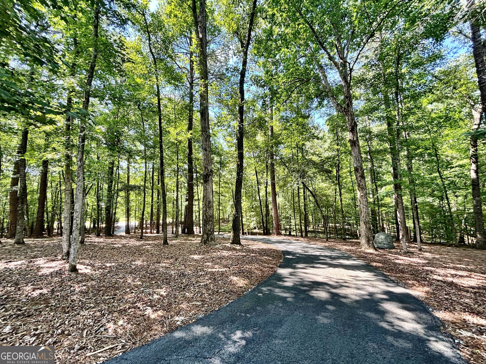 1 bedroom, 2 bathroom, 1,186 sq ft single family residence for sale at 8502 S 19 HWY, Culloden, GA 31016 — photo 4