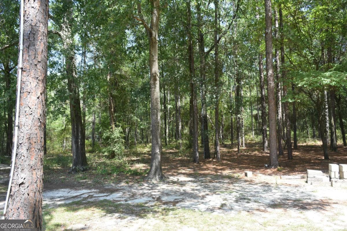 4 bedroom, 2 bathroom, 2,356 sq ft single family residence under contract at 1438 Fannie Head Road, Jesup, GA 31545 — photo 9
