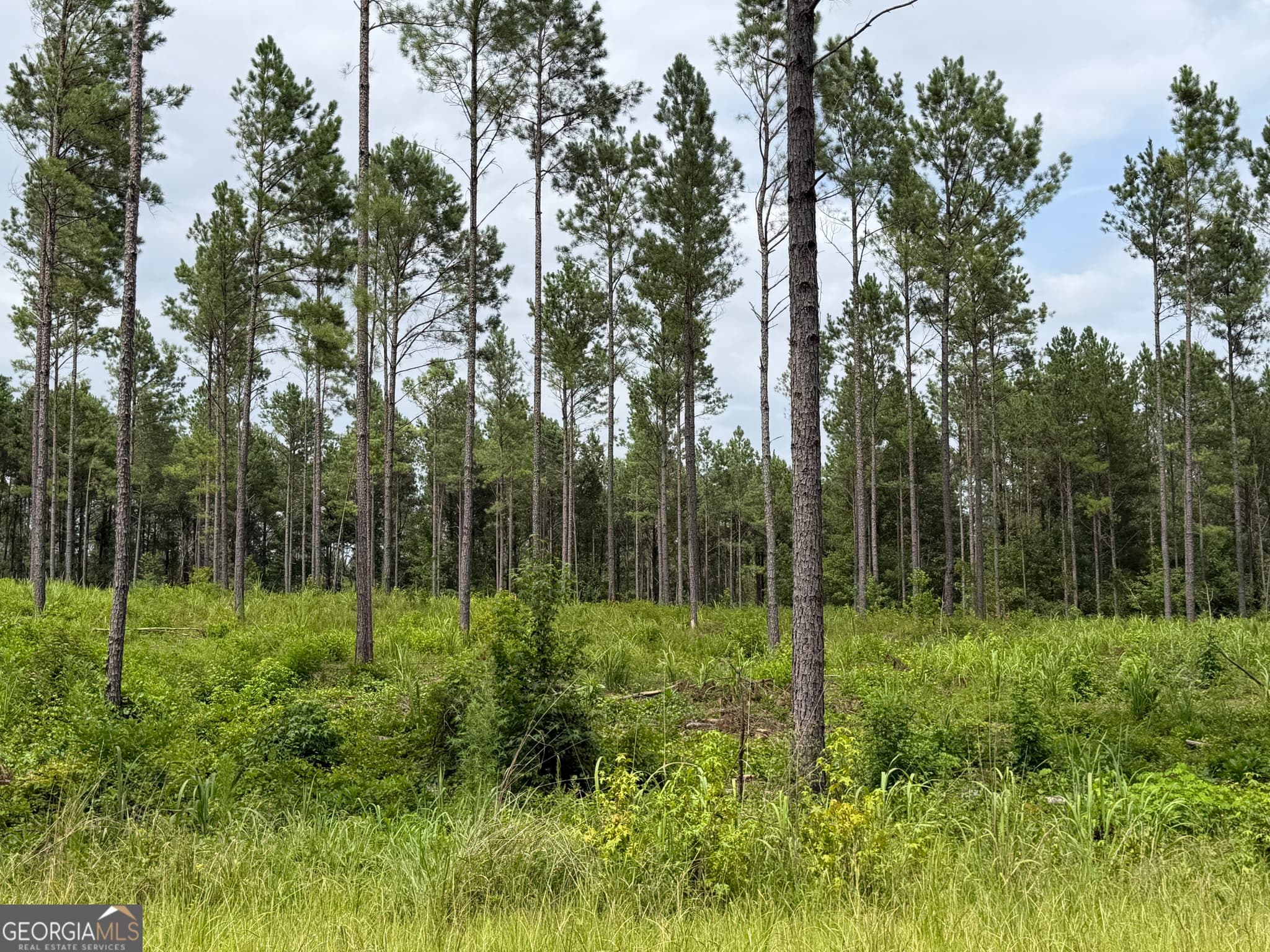 estate lot for sale at 006 Old Monticello Road, Milledgeville, GA 31061 — photo 1 of 1