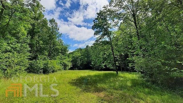 unimproved land for sale at 2243 Damascus Road, Ball Ground, GA 30107 — photo 6