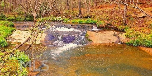unimproved land for sale at 2243 Damascus Road, Ball Ground, GA 30107 — photo 7