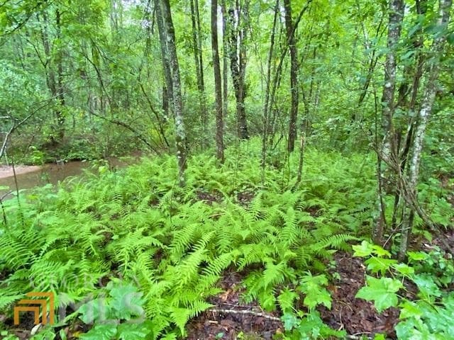 unimproved land for sale at 2243 Damascus Road, Ball Ground, GA 30107 — photo 3