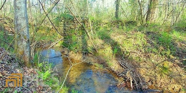 unimproved land for sale at 2243 Damascus Road, Ball Ground, GA 30107 — photo 9